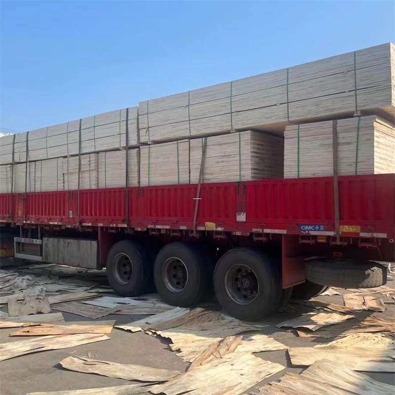 永州市探寻会东县进仓物流的多元运输奥秘